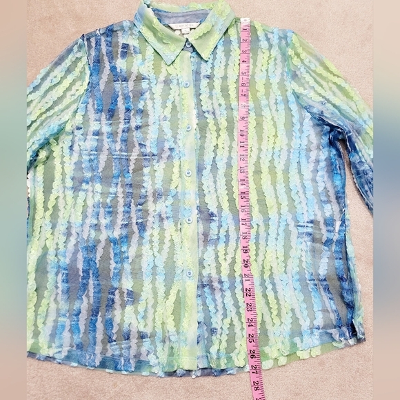 Erin London SZ XL Sheer Blouse Green Blue Stripe Textured Mesh Button Front Top - Picture 9 of 13